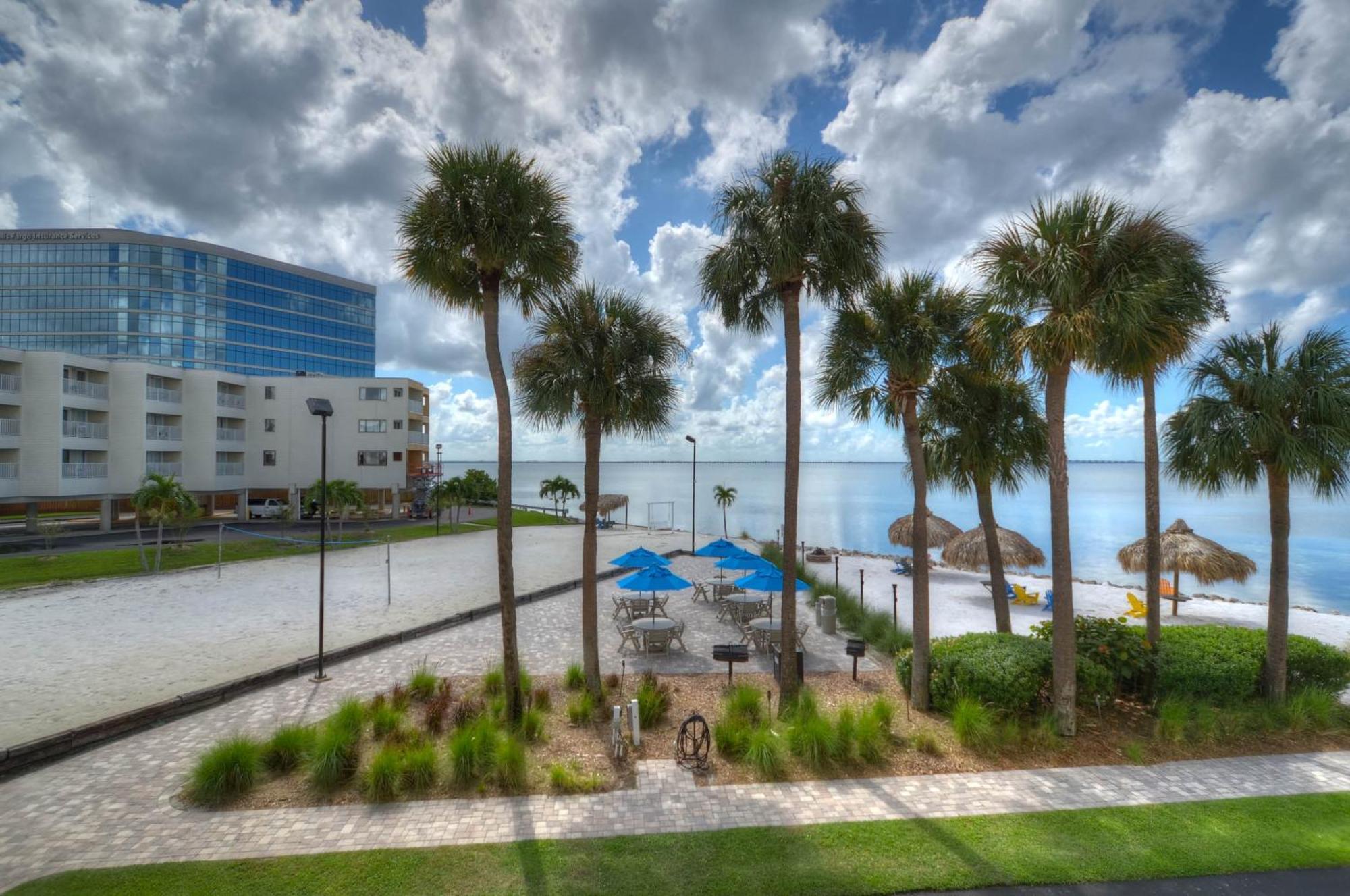 227-Wifi, New Paint, Amazing Views, Close To Bucs Stadium Tampa Kültér fotó